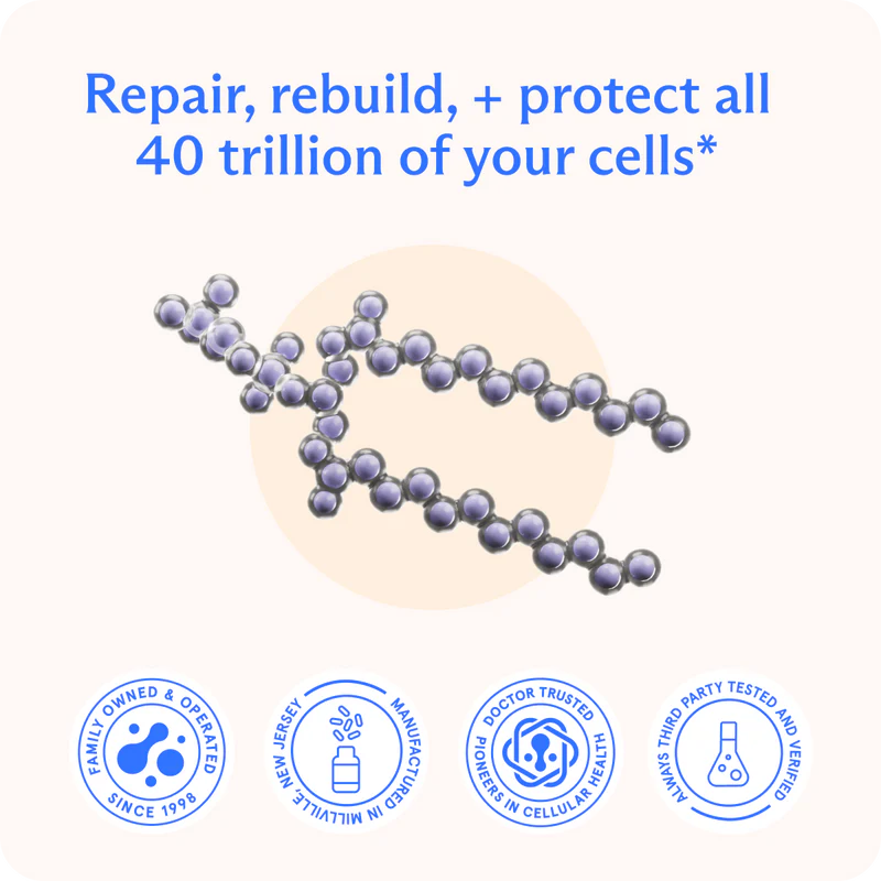 BodyBio PC (Phosphatidylcholine). 60 Softgel - Image 2