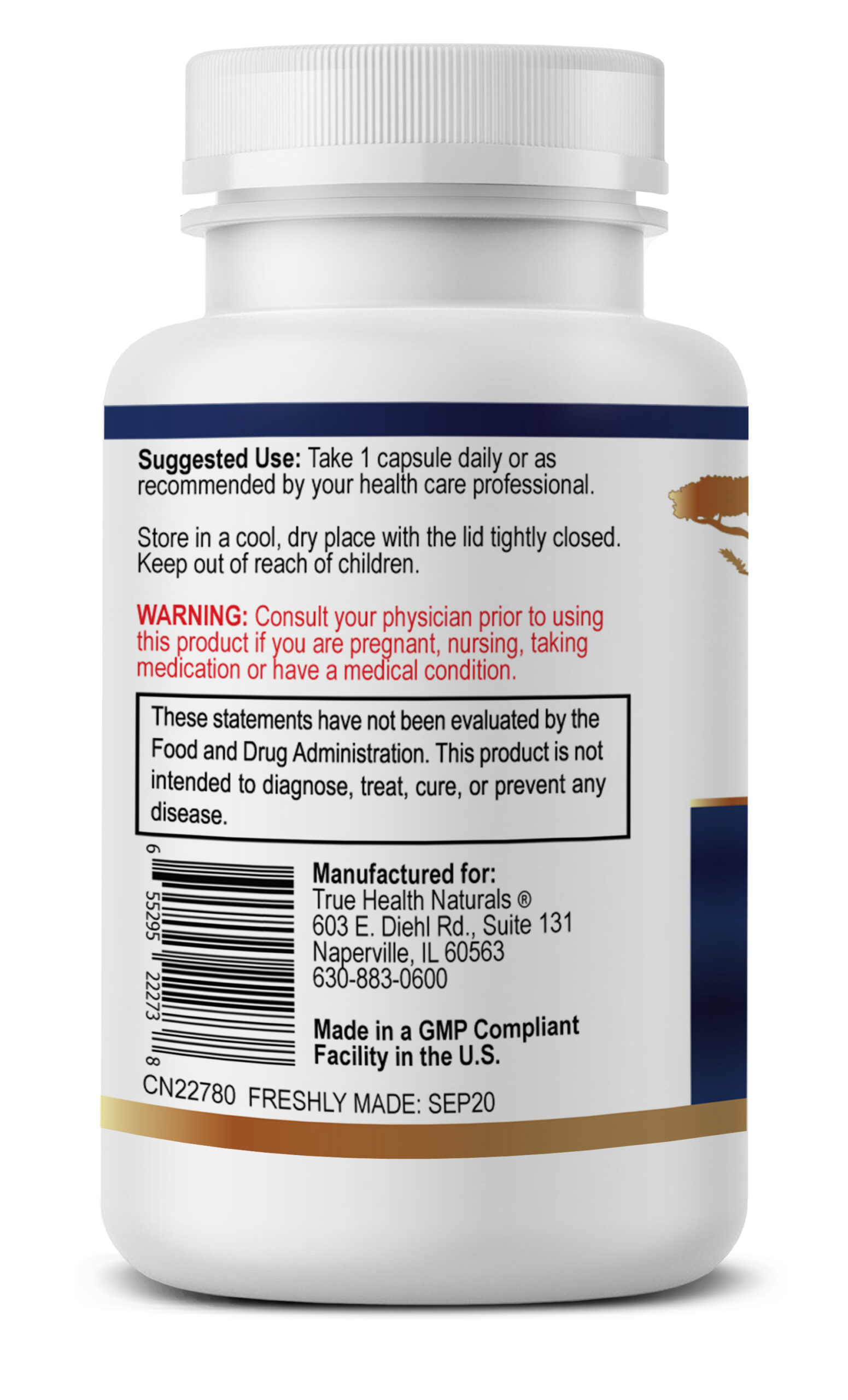 Motor-Connect - Image 5