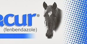 Panacur Equine Paste 10%
