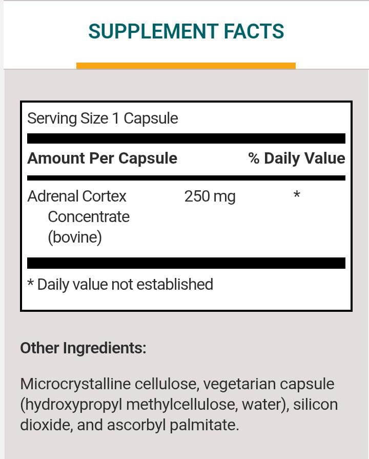 ADRENAL CORTEX (60) - Image 3